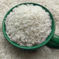 طارم هاشمی درجه یک