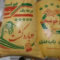 برنج طارم عطری به شرط|خوردنی و آشامیدنی|یزد, |دیوار