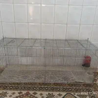 قفس پرنده|لوازم جانبی حیوانات|سنندج, |دیوار