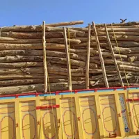خریدار چوب باغی هیزمی و ضایعات چوب عمده|خدمات باغبانی و درختکاری|تهران, فلسطین (میدان انقلاب)|دیوار