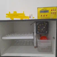 دستگاه جوجه کشی|لوازم جانبی حیوانات|بیرجند, |دیوار