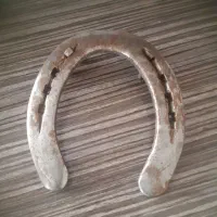 نعل اسب