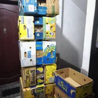 کارتن موزی جهت اسباب کشی