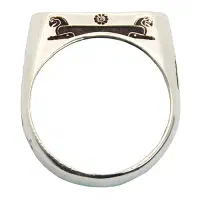 انگشتر فروهر و شیردال و سربازهای هخامنشی|بدلیجات|تهران, بازار|دیوار