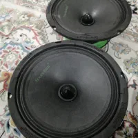 میدرنج دهنه 8