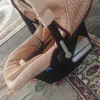 کریر دلیجان اگنس|کالسکه و لوازم جانبی|اردکان, |دیوار