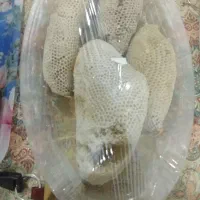 فروش عسل کوهی درجه یک|خوردنی و آشامیدنی|زرین دشت (فارس), |دیوار