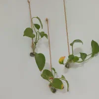 تزئینات|صنایع دستی و سایر لوازم تزئینی|قم, سراجه (۱۵ خرداد)|دیوار