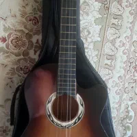 گیتار با کاور خوش صدا