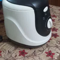 سرخ کن روغنی