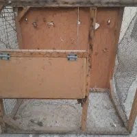 قفس چوبی جفت|لوازم جانبی حیوانات|ری, شهید بهشتی|دیوار