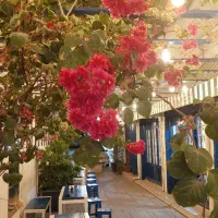 استخدام برای کافه و فست فود