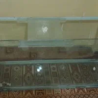 آکواریوم