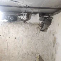 کبوتر