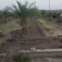 کشاورزی و باغبانی ونگهبانی بم|استخدام سرایداری و نظافت|نرماشیر, |دیوار