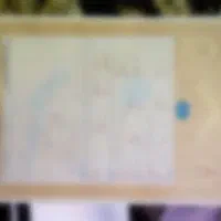 زمین مسکونی ۲۹۰ متر مربع لنگک  پشت فروشگاه رویا