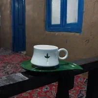 ماگ و زیرماگی جوانه