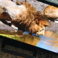 LG TV 3D کُره ای ۴۳ اینچ|تلویزیون و پروژکتور|تهران, استخر|دیوار