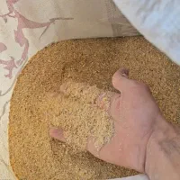 خوراک و دان مرغ و جوجه