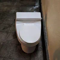 توالت فرنگی