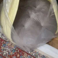 جای خواب سگ یا گربه نینا پت