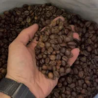 فروش ویژه دان قهوه