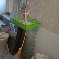 قفس بلند با پایه تمیز