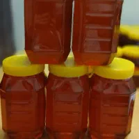 عسل چهل گیاه|خوردنی و آشامیدنی|یزد, |دیوار