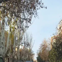 اجاره مجتمع البرز ۷۴ متر اراضی پایین کوه