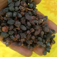 کشمش|خوردنی و آشامیدنی|ساوه, |دیوار