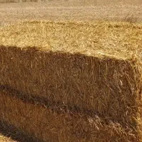 کاه پرس بسته بندی کلش سیفال