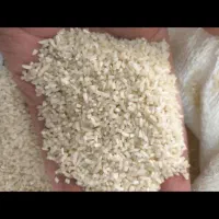 لاشه برنج هاشمی و لاشه برنج صدری|خوردنی و آشامیدنی|رشت, جهاد|دیوار