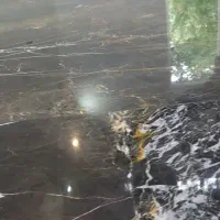 سنگ سابی و کفسابی|خدمات نظافت|شیروان (خراسان), |دیوار