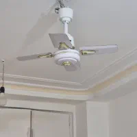 دو عدد پنکه