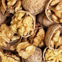 گردو تازه وخشک