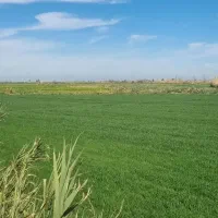 زمین