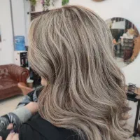 خدمات رنگ و لایت