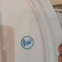 دیس چینی در حد نو|ظروف سرو و پذیرایی|محمدشهر, سیدآباد|دیوار