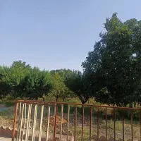 باغ به مساحت 3140متر