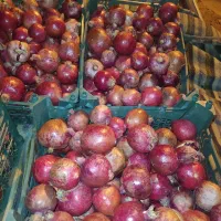 انار درجه یک وحشی ملس