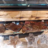 چوب سنگ (فسیل چوب)|کلکسیون و سرگرمی|محلات, |دیوار