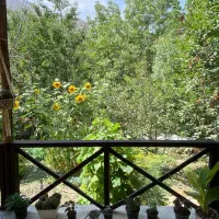 اجاره ویلاباغ شبانه روز