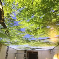 اجرای کناف و سقف کشسان|خدمات پیشه و مهارت|رشت, حمیدیان|دیوار