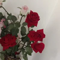 گل رز زیبا باگلدون|گل مصنوعی|رودهن, |دیوار