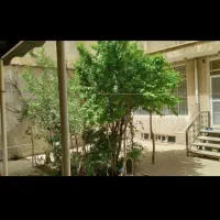 حیاط ویلایی ۲۲۰متر کوچه باغ/کد ۹۵