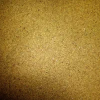 بذریونجه