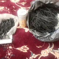 پنس و  موی و تی جی نو