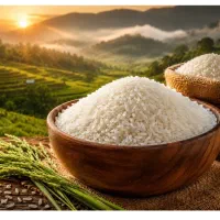 فروش برنج و محصولات ارگانیک شمال