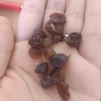 کشمش پلویی|خوردنی و آشامیدنی|شیروان (خراسان), |دیوار