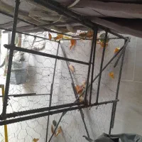 قفس کفتر